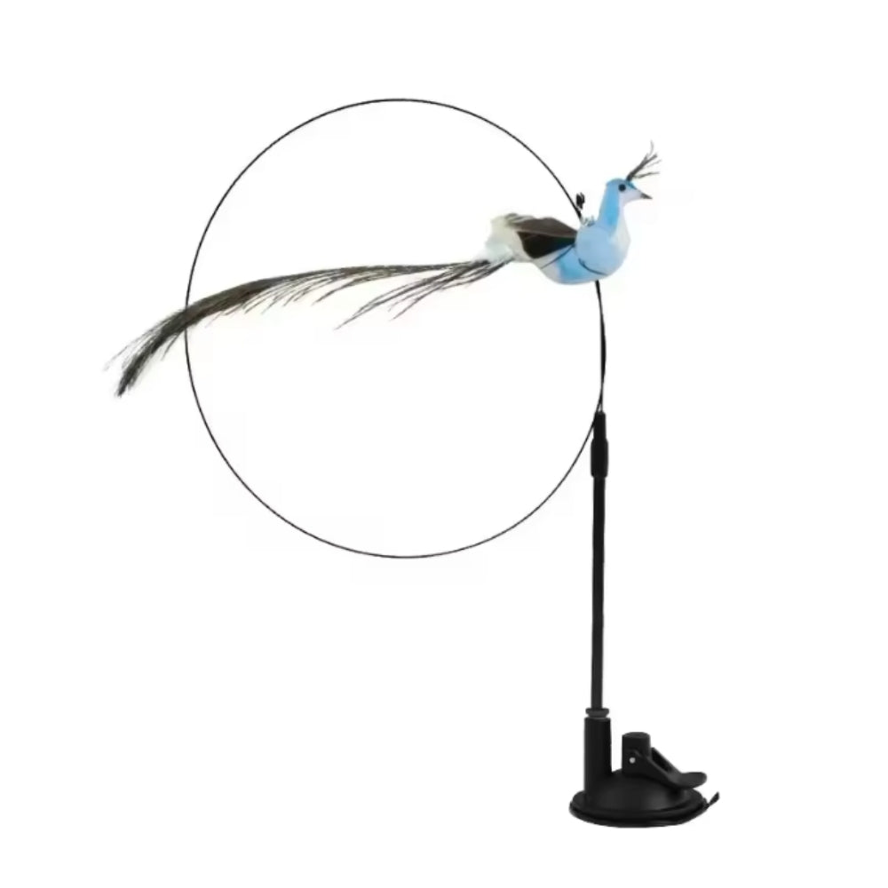 Interactive bird toy