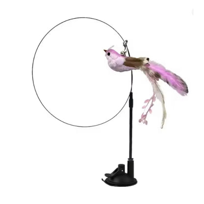 Interactive bird toy