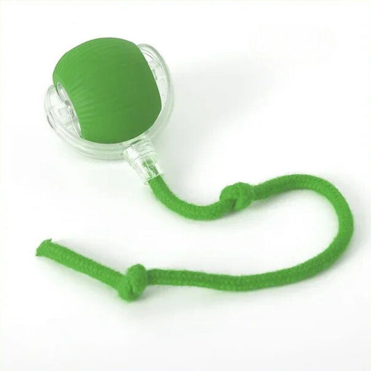 Smartball for cats