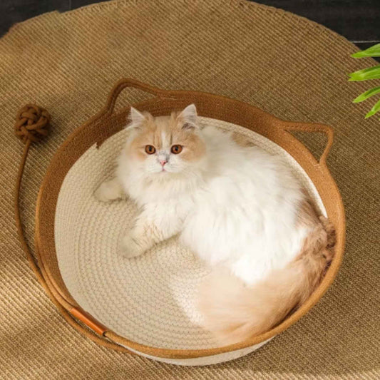 Cat basket with interactive ball