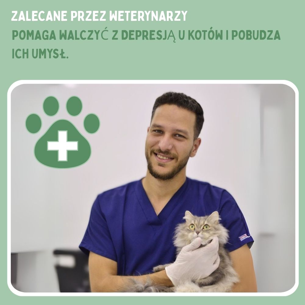 Interaktywna zabawka mysz dla kotów