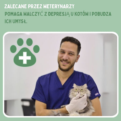 Interaktywna zabawka mysz dla kotów
