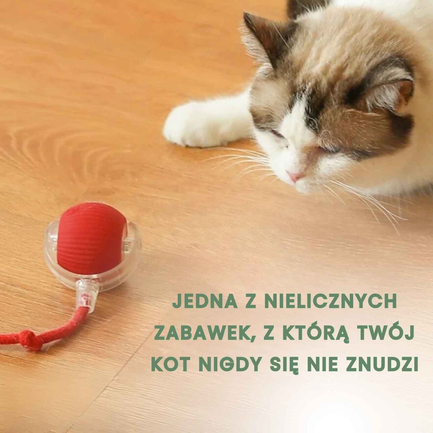 Inteligentna i interaktywna piłka dla Twojego kota – Ładowana przez USB