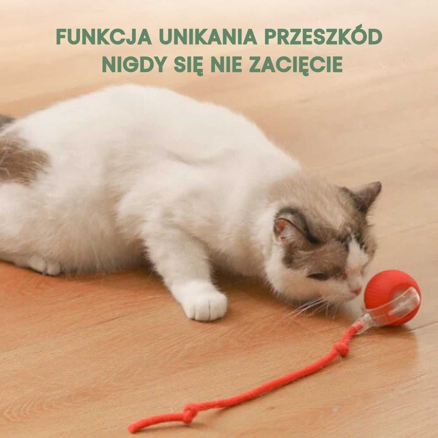 Inteligentna i interaktywna piłka dla Twojego kota – Ładowana przez USB