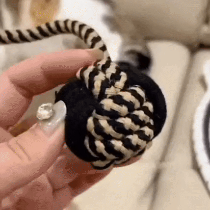 Carpet for cats