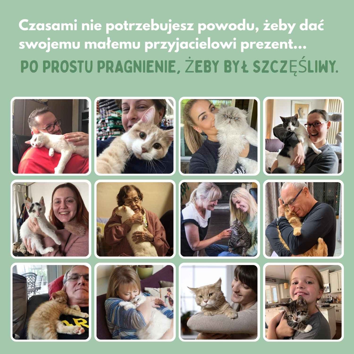 Inteligentna piłka dla kotów, w 100% autonomiczna, zaprojektowana tak, aby naśladować prawdziwą zdobycz. CB