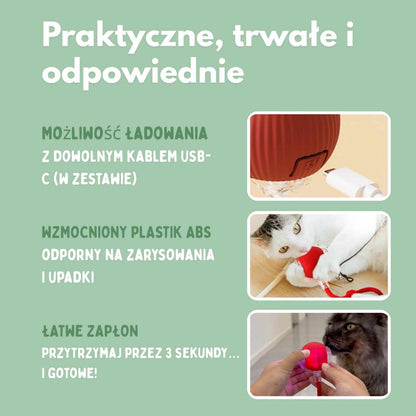 Inteligentna piłka dla kotów, w 100% autonomiczna, zaprojektowana tak, aby naśladować prawdziwą zdobycz. CB