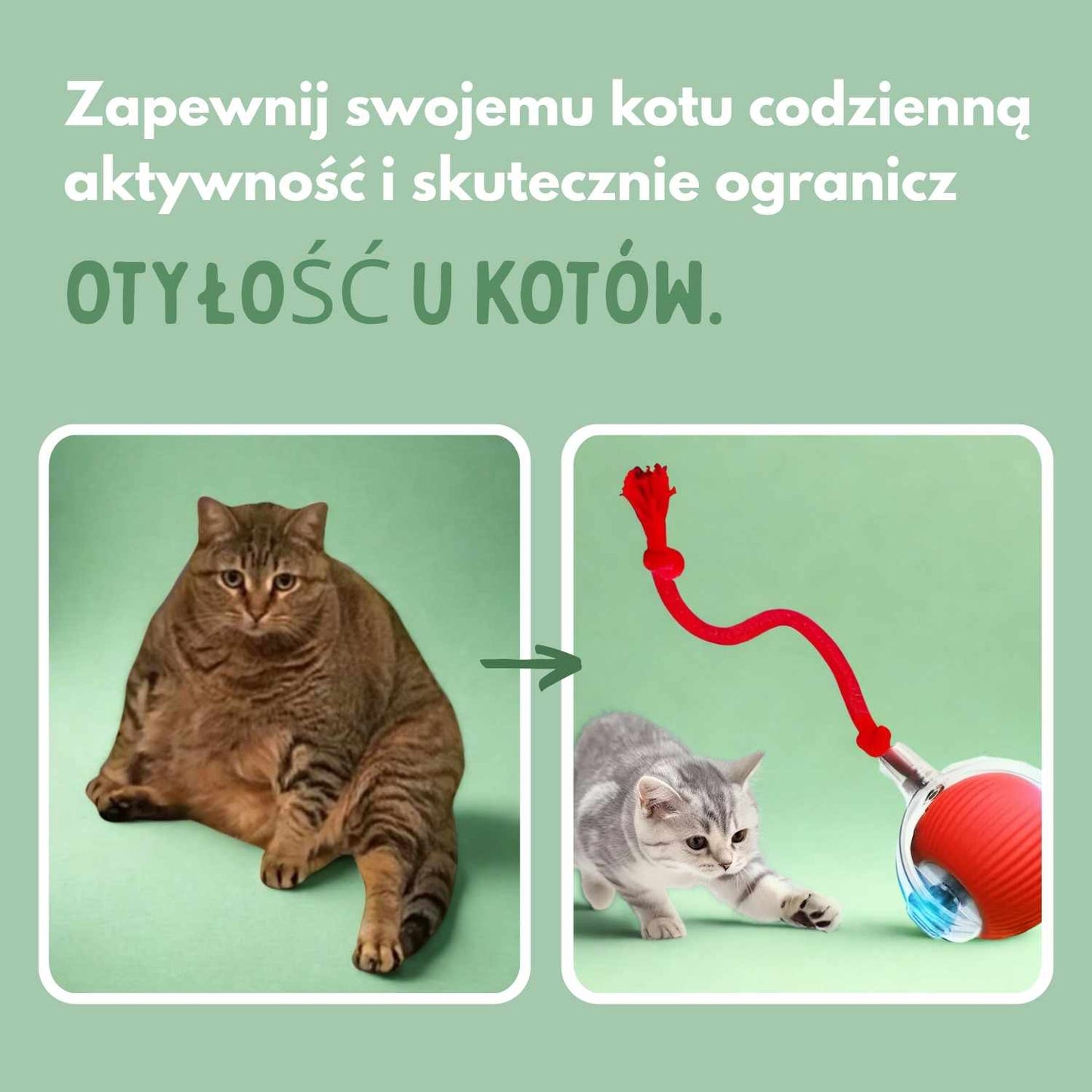 Inteligentna piłka dla kotów, w 100% autonomiczna, zaprojektowana tak, aby naśladować prawdziwą zdobycz. CB