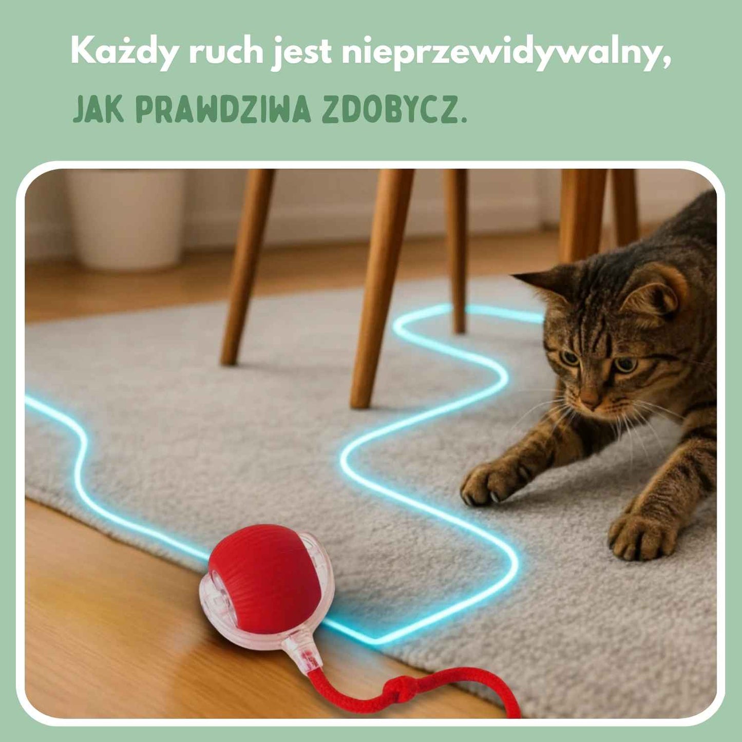 Inteligentna piłka dla kotów, w 100% autonomiczna, zaprojektowana tak, aby naśladować prawdziwą zdobycz. CB