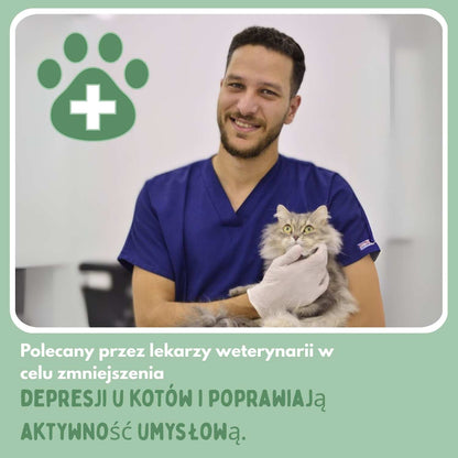 Inteligentna piłka dla kotów, w 100% autonomiczna, zaprojektowana tak, aby naśladować prawdziwą zdobycz. CB