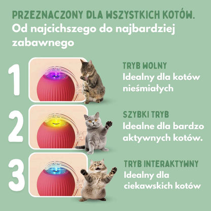 Inteligentna piłka dla kotów, w 100% autonomiczna, zaprojektowana tak, aby naśladować prawdziwą zdobycz. CB