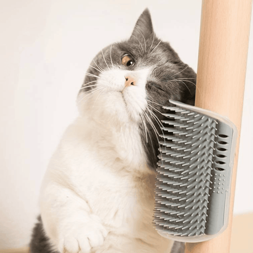 Cat massage wall