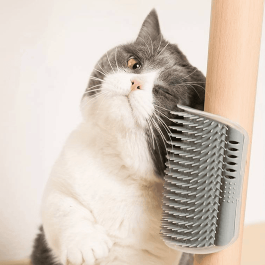 Cat massage wall