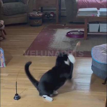 Interactive bird toy